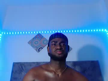 _black_stallion