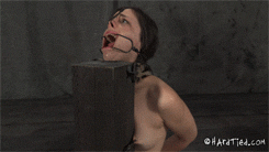 Bound and Pound — 17