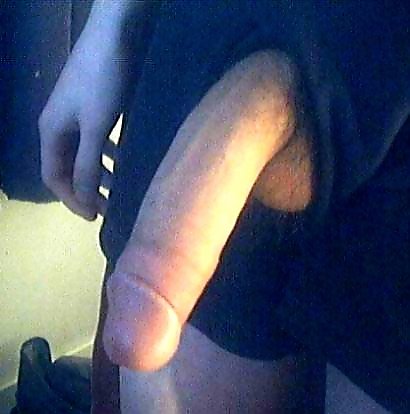gay — 44